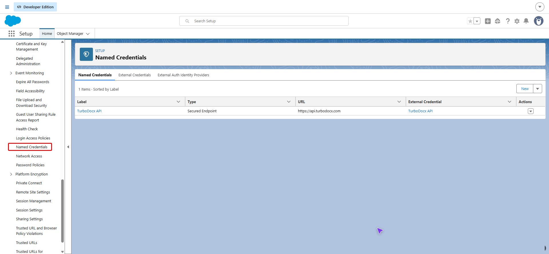 Setup Quick Find with Named Credentials highlighted