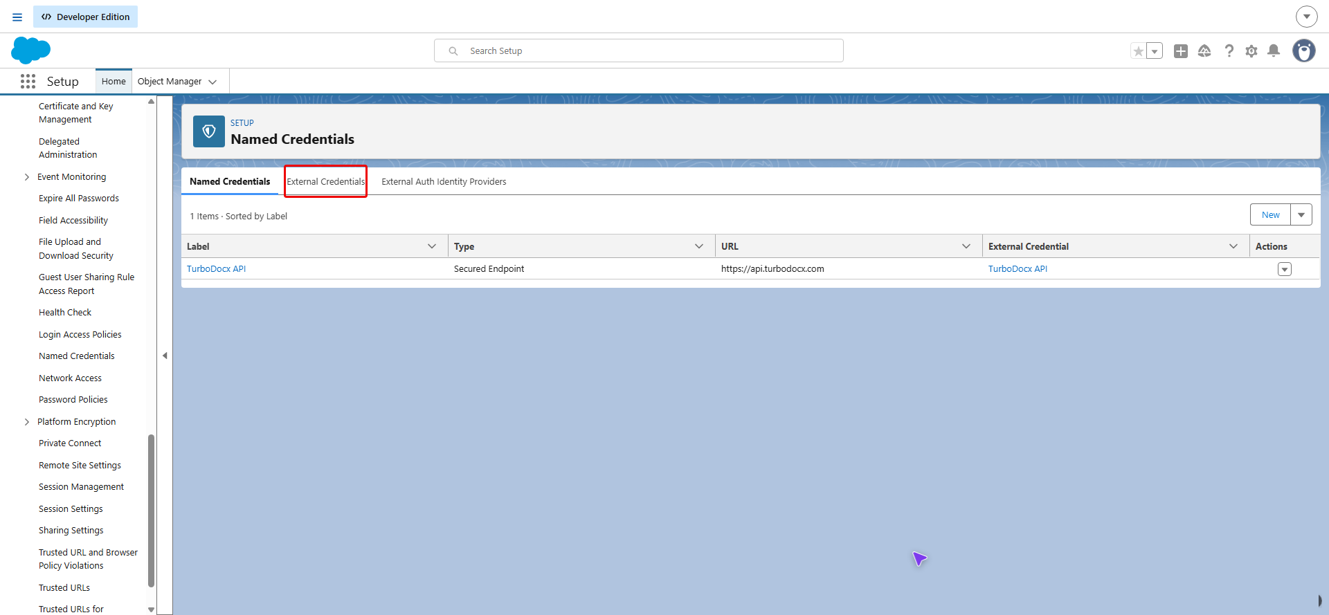 Named Credentials page with the External Credentials tab highlighted
