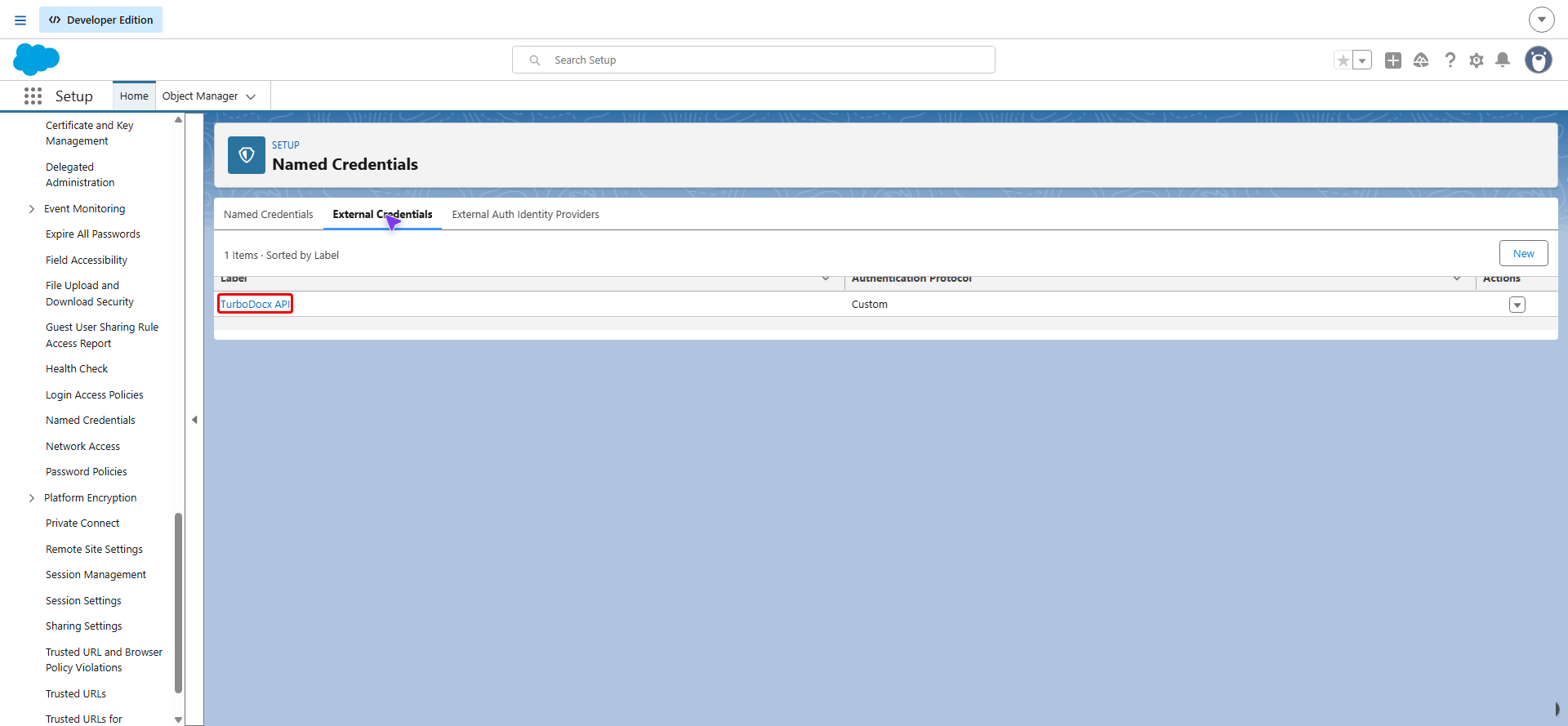 External Credentials list with TurboDocx API highlighted