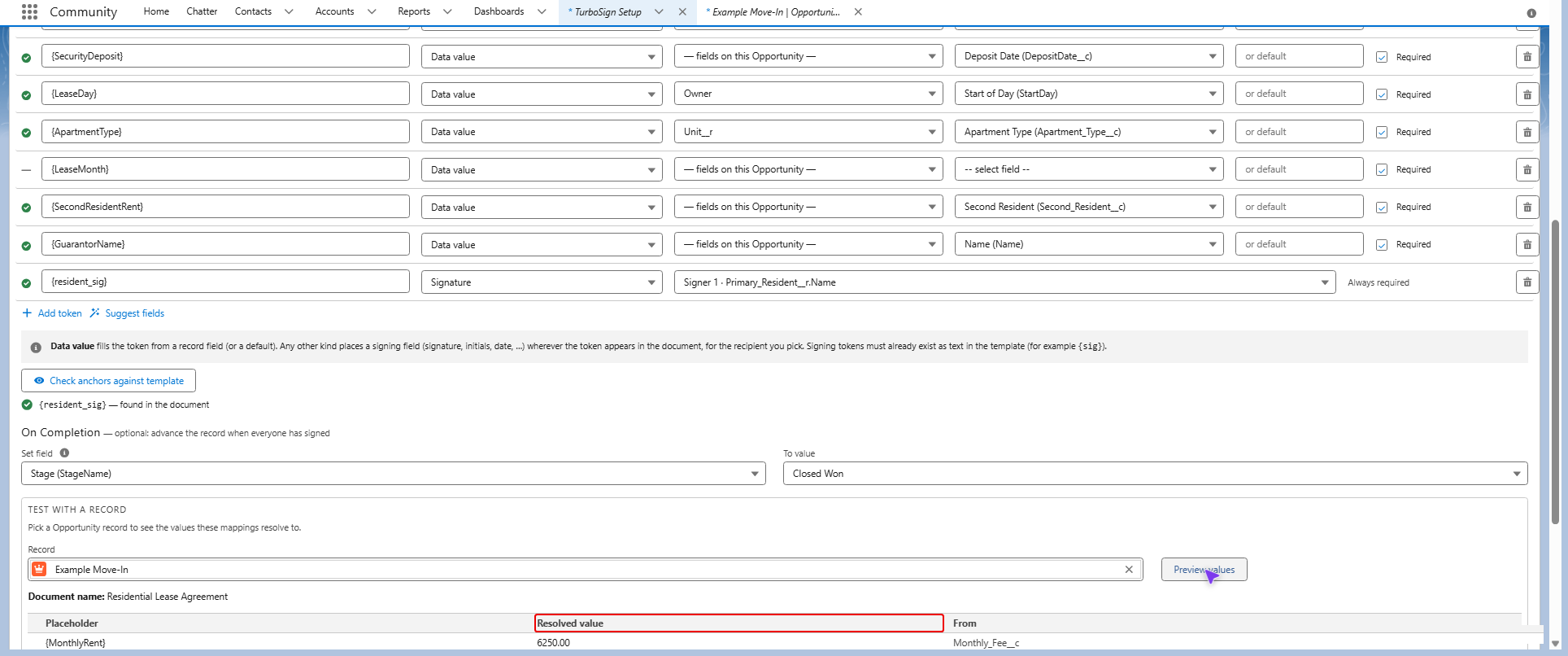 Preview table with resolved values