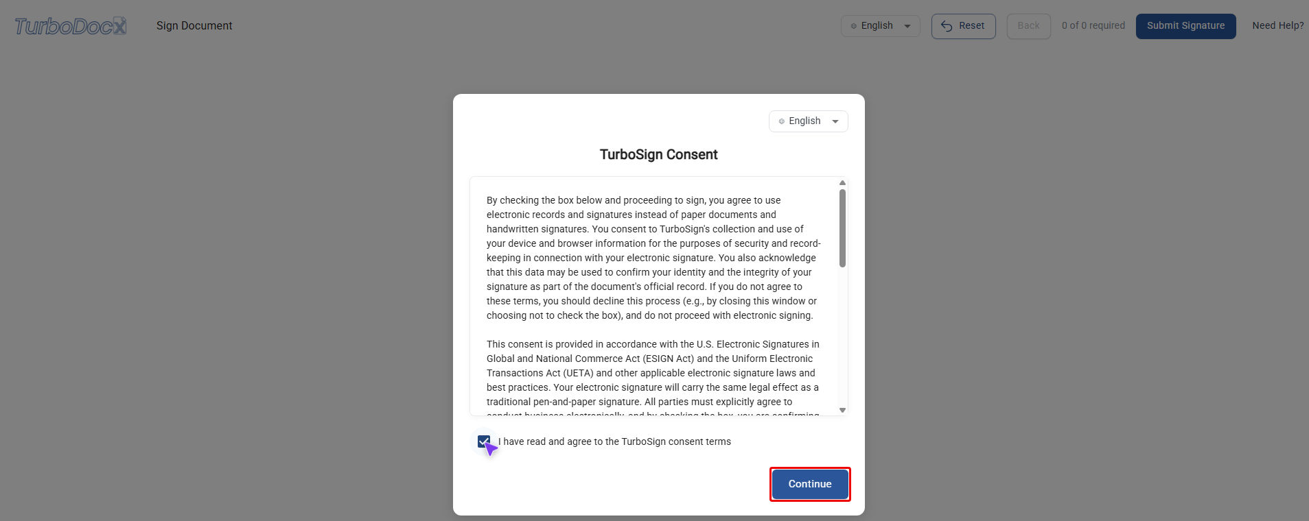 Consent screen with the Continue button highlighted