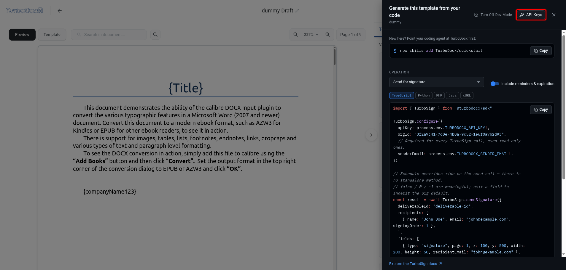 Code panel with the API Keys button highlighted