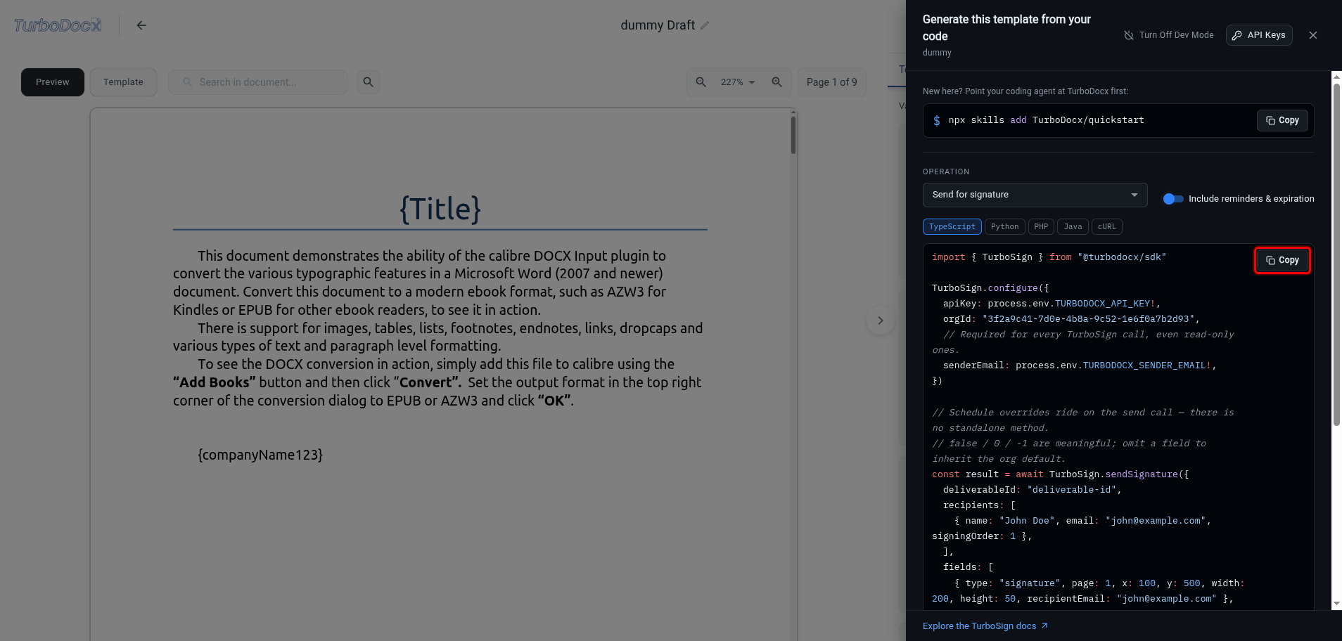 Code panel with the Copy button on the code highlighted
