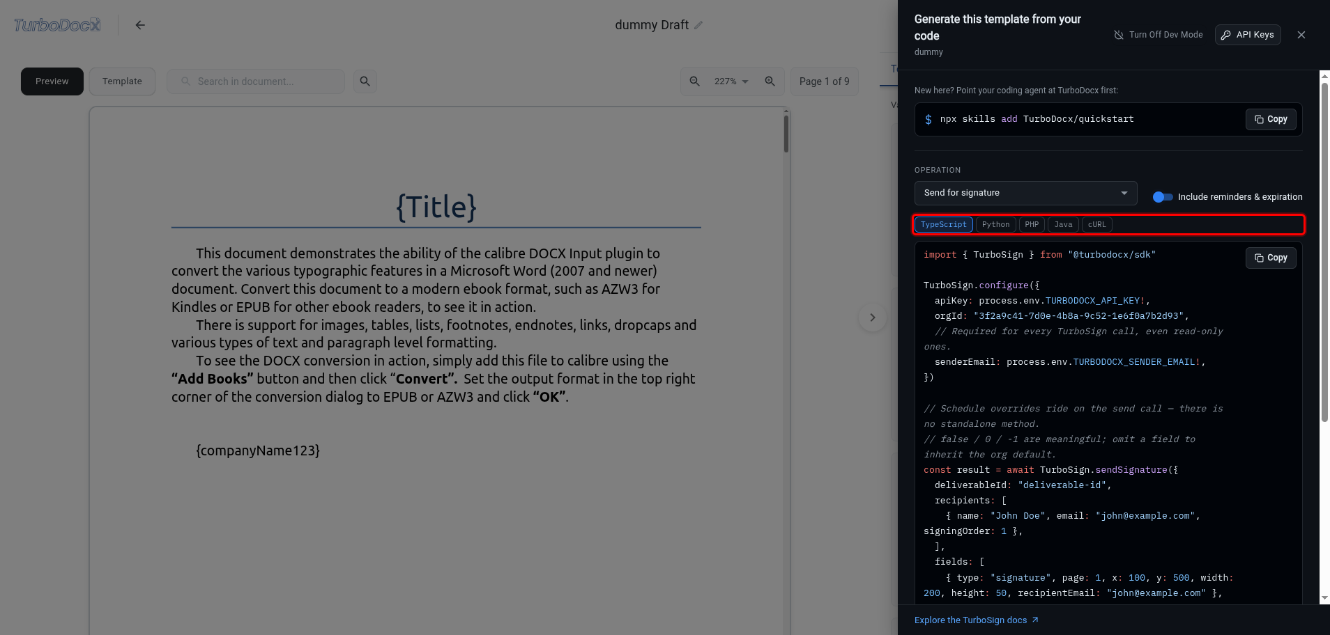 Code panel with the language tabs highlighted